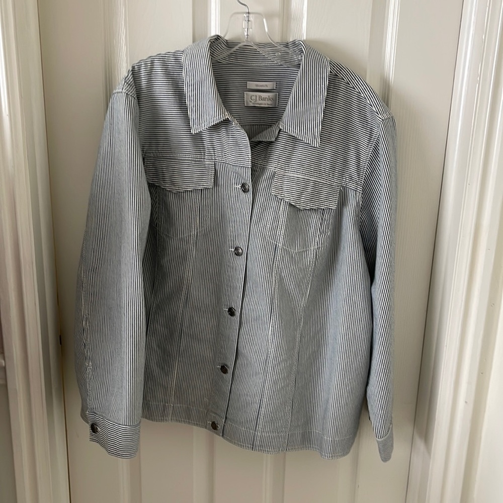 Pinstripe Jacket - image 1